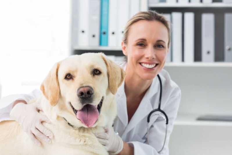 Agendamento de Exame Hormonal para Animais Mal. Rondon - Exame de Sangue para Animais