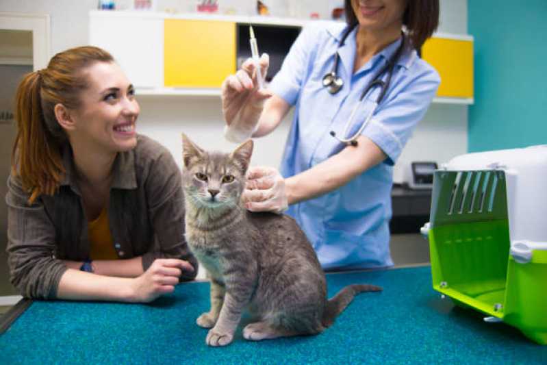 Aplicação de Vacina de Raiva Gato Gerdau - Vacina Antirrábica Animal