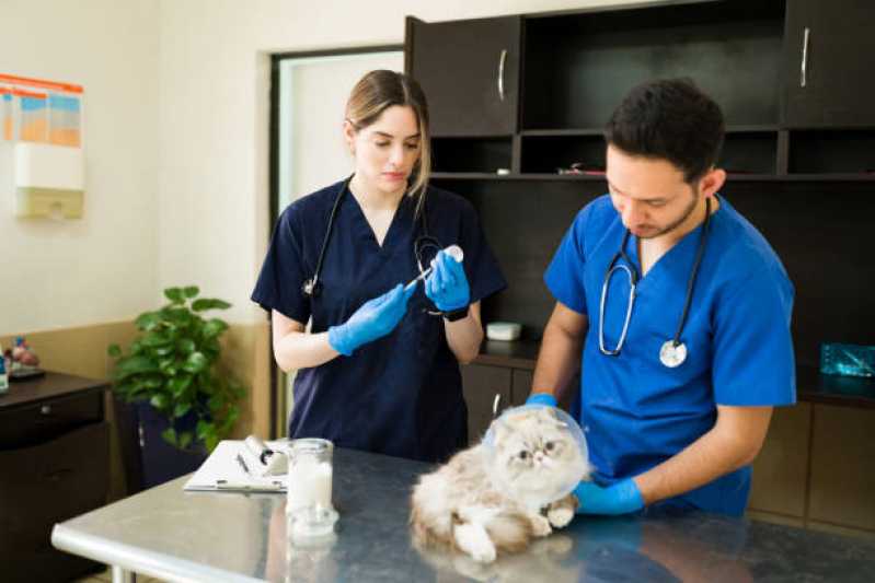 Cirurgia Palato para Animais Marcar Distrito Industrial - Cirurgia de Castração para Animais