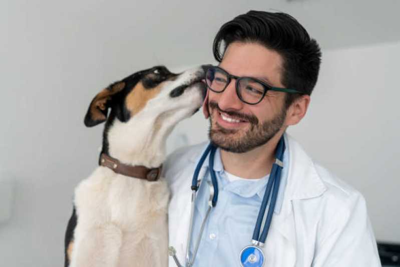 Clínica Veterinária Animal Auxiliadora - Clínica Veterinária com Farmácia Animal