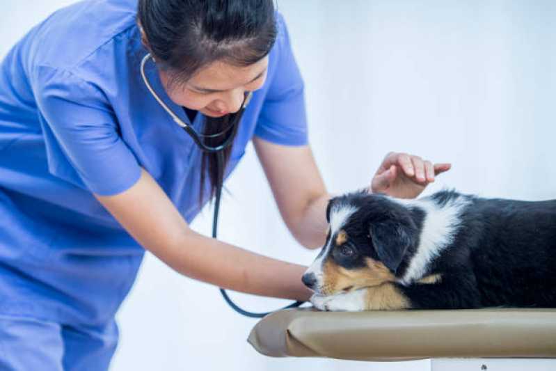 Clínica Veterinária com Farmácia Animal Nossa Sra. de Fatima - Clínica Veterinária de Cães e Gatos
