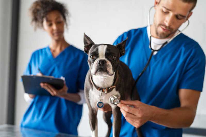 Clínica Veterinária com Farmácia Boa Vista - Clínica Veterinária com Farmácia Pet