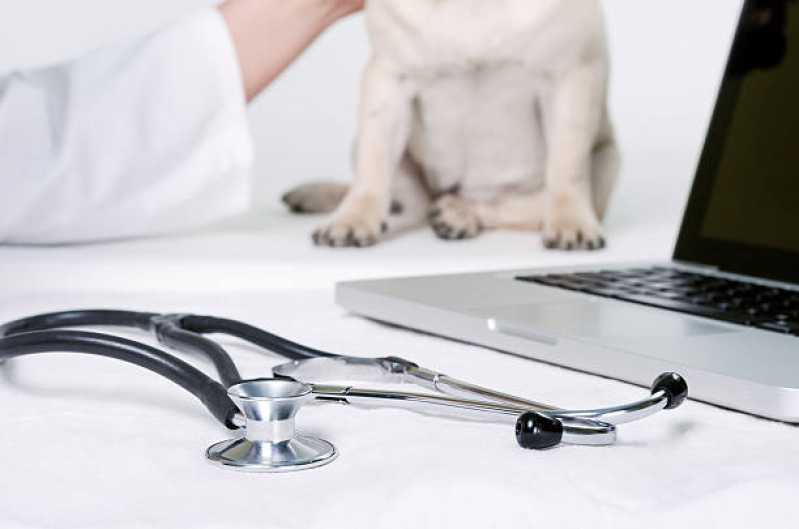 Clínica Veterinária de Cães e Gatos Telefone Lomba Pinheiro - Clínica Veterinária com Farmácia Animal