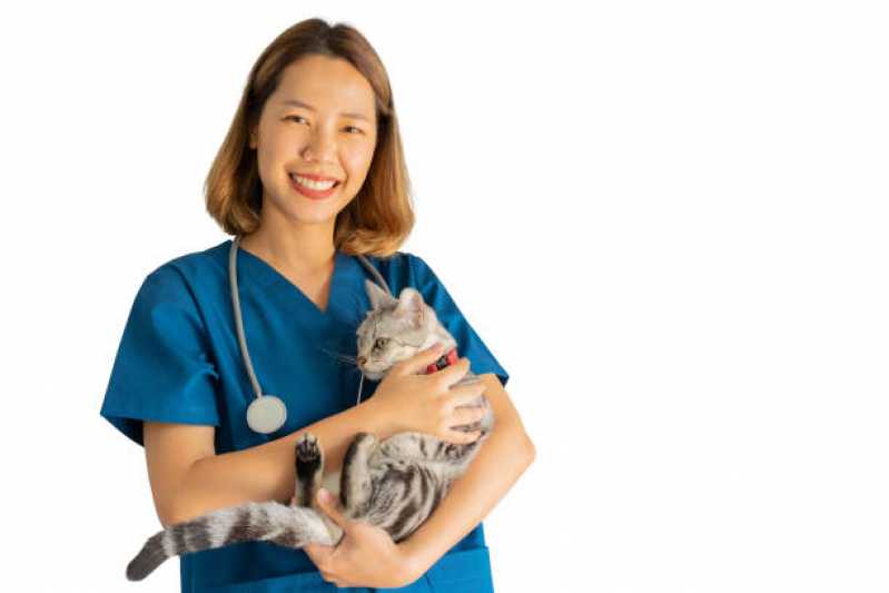 Clínica Veterinária Especializada em Cães e Gatos Telefone São Miguel - Clínica Veterinária com Farmácia Pet