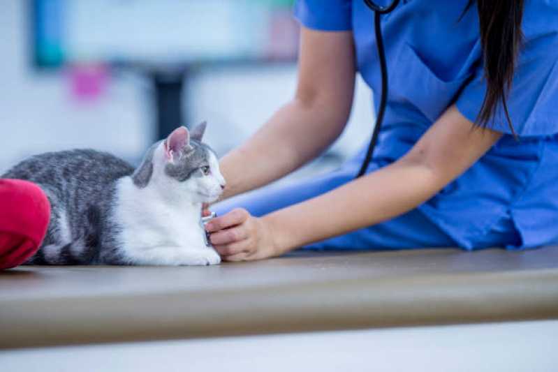 Clínica Veterinária Mais Próxima Auxiliadora - Clínica Veterinária com Farmácia Pet