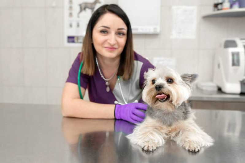 Clínica Veterinária Próxima Telefone Morada do Vale I - Clínica Veterinária com Farmácia Animal