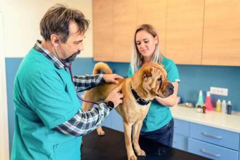 Clínica Veterinária Telefone Santa Rita - Clínica Veterinária de Cães e Gatos