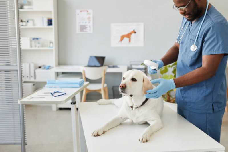 Consulta para Animais Bom Fim - Consulta Veterinária Dermatológica para Cachorro