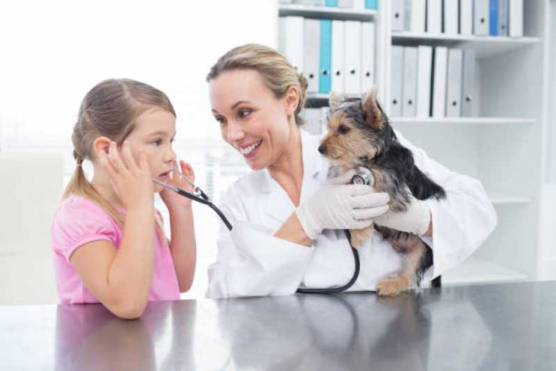 Consulta Veterinária Cachorro Marcar Boa Vista - Consulta Veterinária para Cachorros