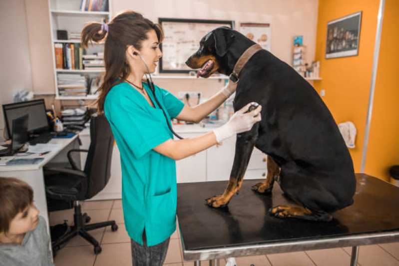 Consulta Veterinária para Animais Marcar Parque dos Anjos - Consulta Veterinária para Cachorros