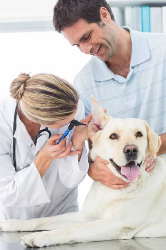 Consulta Veterinária para Cachorros Marcar Independência - Consulta Veterinária para Animais