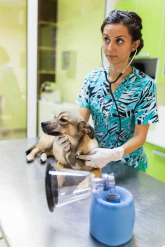 Contato de Clínica Veterimária com Farmácia Pet Santa Rosa Lima - Clínica Veterinária com Farmácia Pet