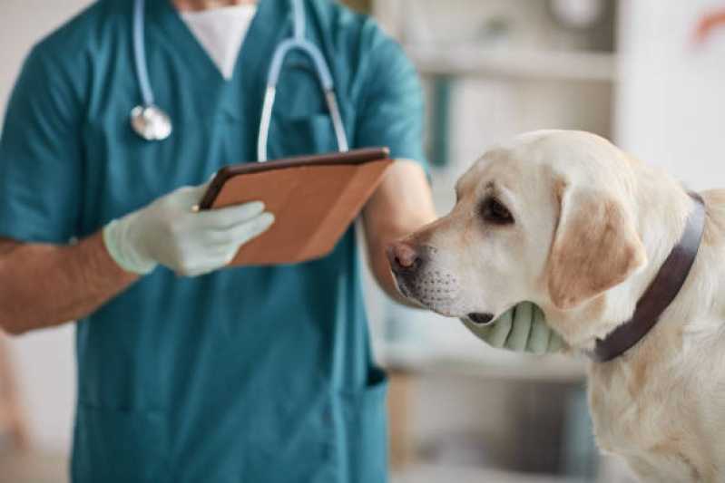 Contato de Clínica Veterinária com Farmácia Azenha - Clínica Veterinária com Farmácia Pet