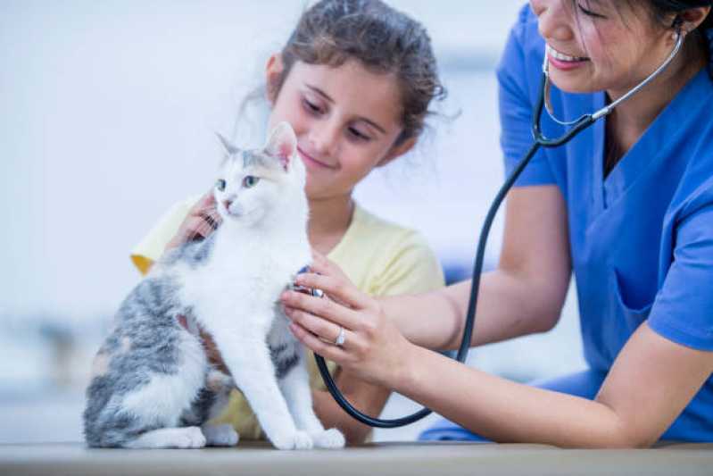 Contato de Clínica Veterinária Mais Próxima Santa Cecília - Clínica Veterinária com Farmácia Pet