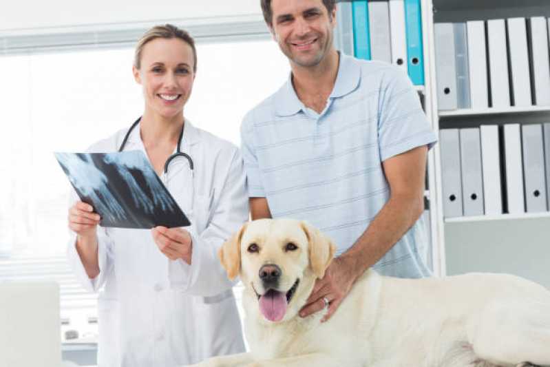 Exame Hormonal para Animais Marcar Lomba do Pinheiro - Exame de Sangue para Animais