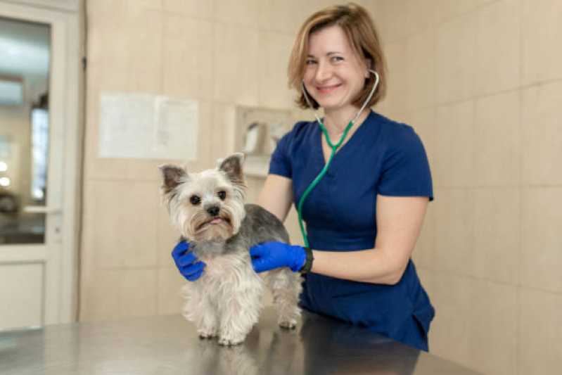Neurologia Animal Farrapos - Neurologia para Cachorros