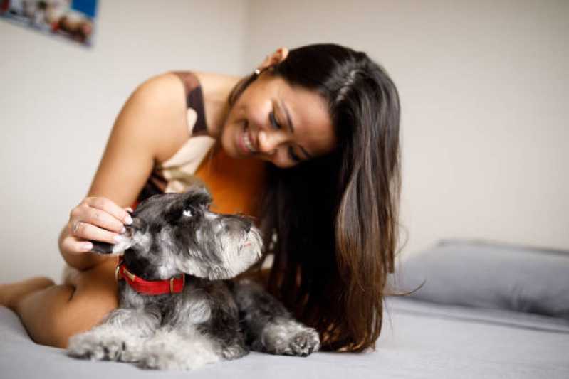 Neurologia Cachorro Passo Pedras - Neurologia em Cães e Gatos