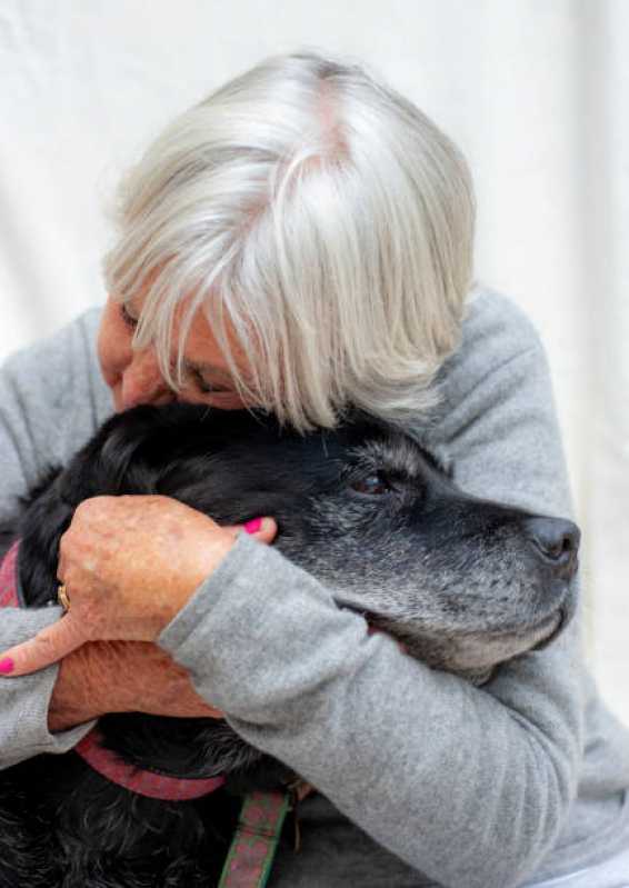 Neurologia para Cães Agendar Belém Velho - Neurologia para Cachorros