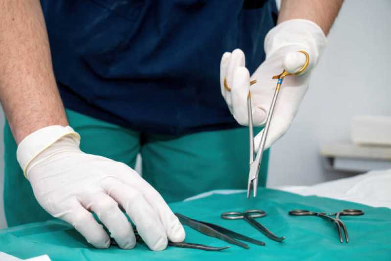 Onde Fazer Cirurgia de Castração para Animais Lami - Cirurgia Profilaxia para Animais