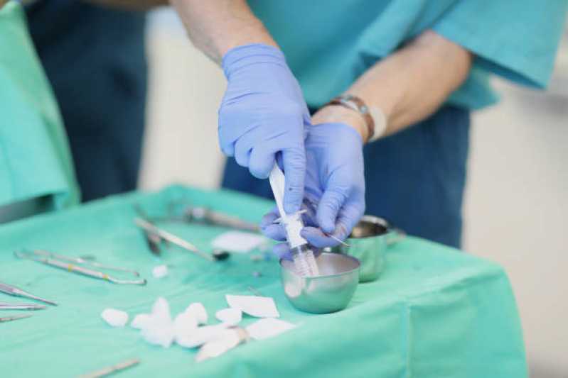 Onde Fazer Cirurgia de Garganta de Bulldog Francês Cavalhada - Cirurgia Profilaxia para Animais