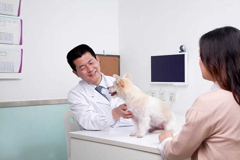 Onde Marcar Consulta Veterinária Cachorro Farroupilha - Consulta Veterinária para Gato