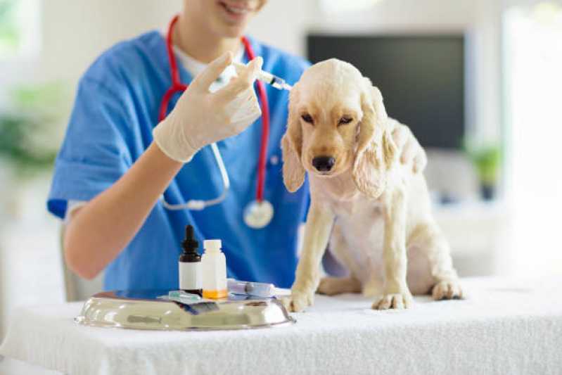 Onde Marcar Consulta Veterinária Dermatológica para Cachorro Nonoai - Consulta Veterinária para Animais