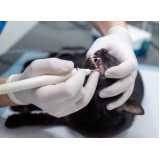 agendamento de exame laboratoriais para animais Humaitá