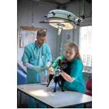 cirurgia ortopédica em cães Jardim Lindoia
