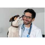 clínica veterinária animal Harmonia Canoas