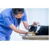 clínica veterinária com farmácia animal Lomba do Pinheiro