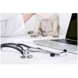 clínica veterinária de cães e gatos telefone Lomba Pinheiro
