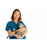clínica veterinária especializada em cães e gatos telefone Santo André