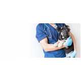clínica veterinária especializada em cães e gatos Vila Eunice Velha