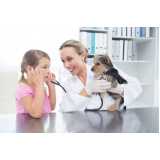 consulta veterinária cachorro marcar Serraria