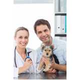 consulta veterinária dermatológica para cachorro Morro Santana