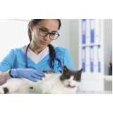 consulta veterinária para gatos marcar Jardim Itu Sabará