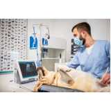 exame eletrocardiograma para animais marcar Azenha
