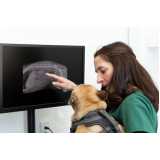 onde agendar ortopedia para cães de grande porte Ipanema