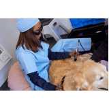 onde faz laserterapia para animais domésticos Jardim dos Lagos