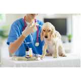 onde marcar consulta veterinária dermatológica para cachorro Santana