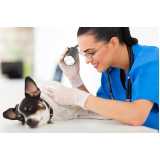 onde marcar consulta veterinária para animais de estimação Santana