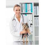 ortopedia para cães e gatos agendar Glória