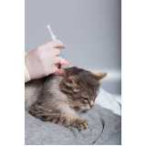 vacina antirrábica animal Higienópolis
